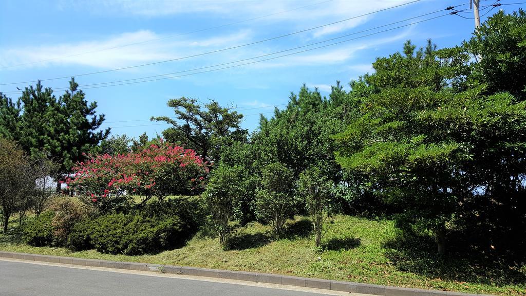 Cardinal House Villa Jeju Exterior foto